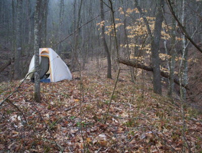 Tent in the woods