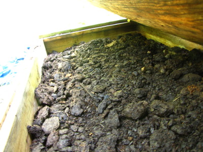 Manure in worm bin