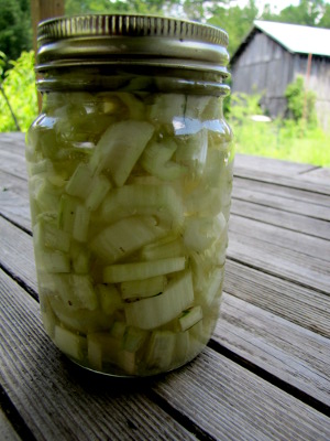 Lacto-fermented Swiss chard