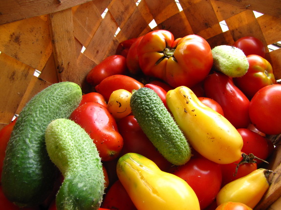 Basket of produce