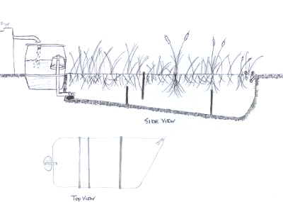 Constructed wetland diagram
