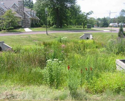 Large constructed wetland