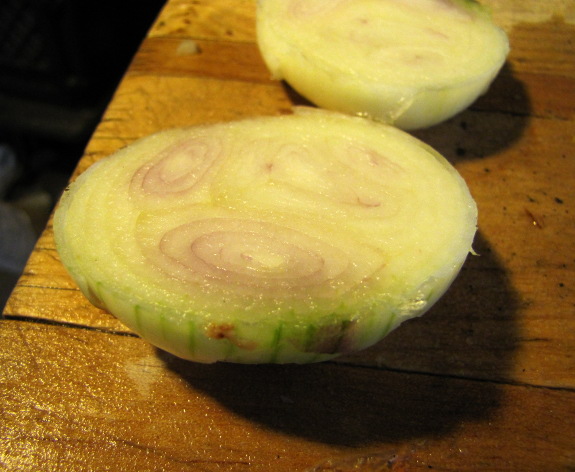 Potato onion cross section