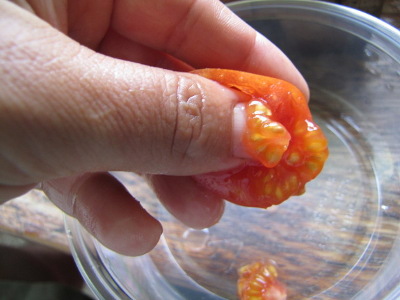 Squeeze out tomato seeds