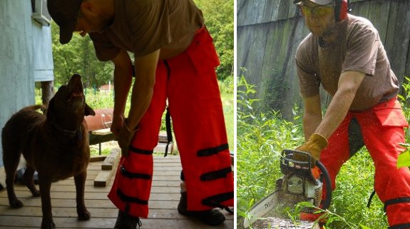 chainsaw chaps in action