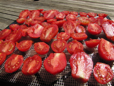 Drying tomatoes