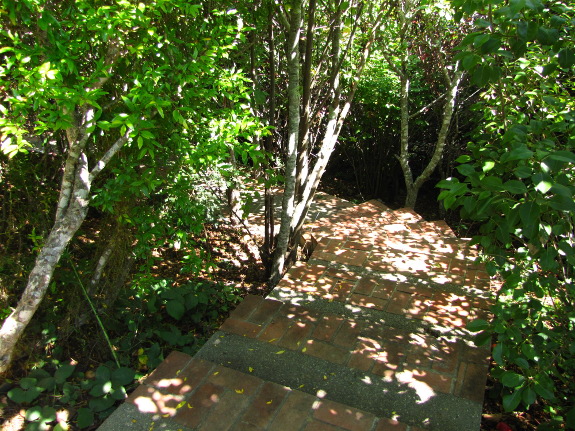 Forest garden steps