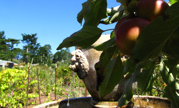 Forest garden fountain