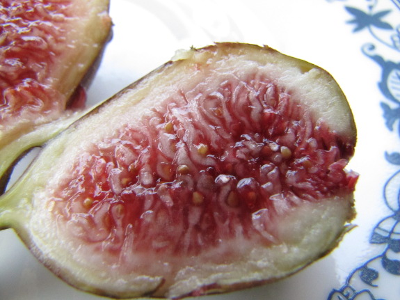 Fresh fig