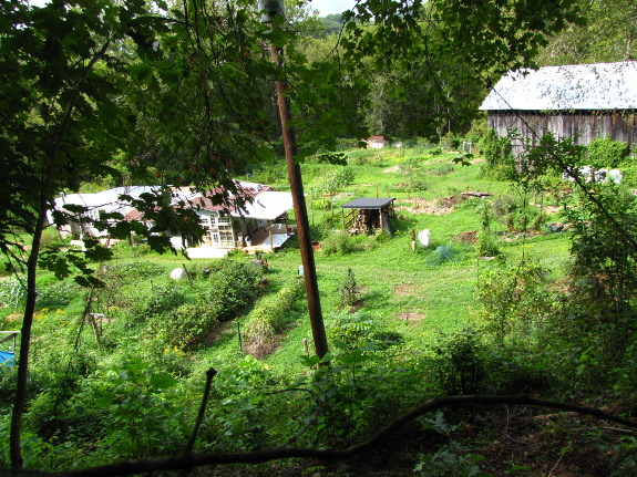 Homestead from above