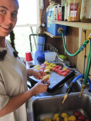 Drying tomatoes