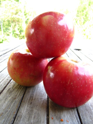 Zestar apples