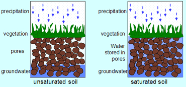 Water in soil