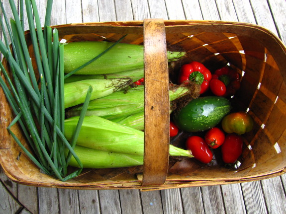 Late summer harvest