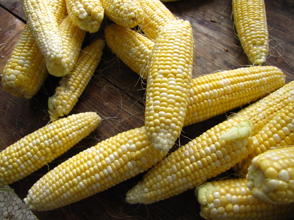 Sweet corn