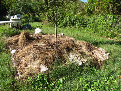 Missouri Mulch And Landscape