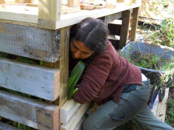 Composting toilet yoga