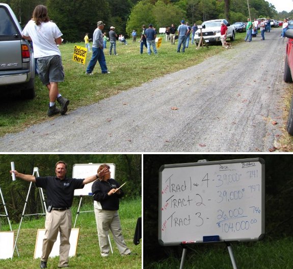 land auction image collage