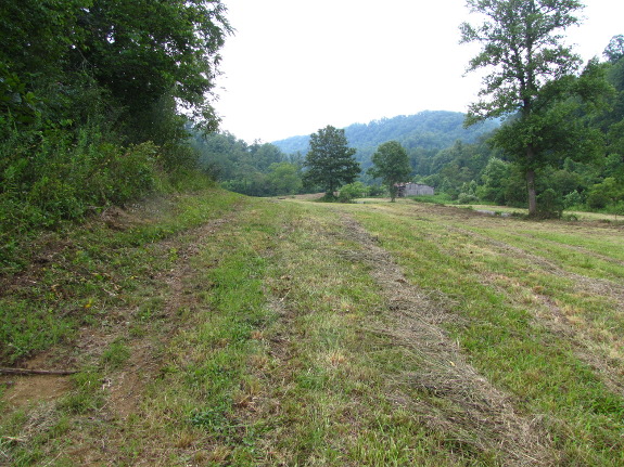 Hay field