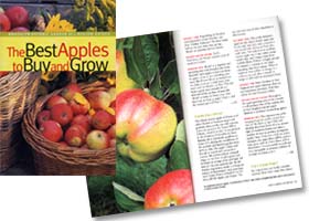 The Best Apples to Buy and Grow