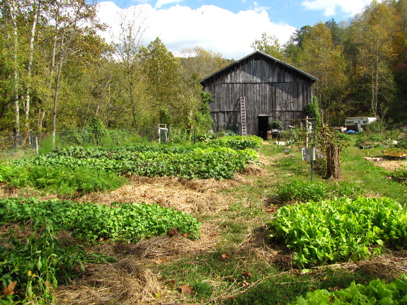 Fall garden