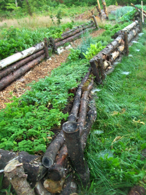 Biological terracing