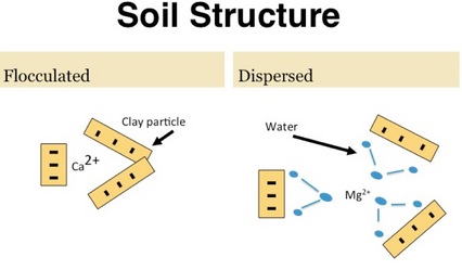 Effects of calcium on clay soil