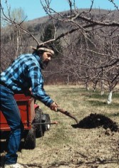 Orchard compost