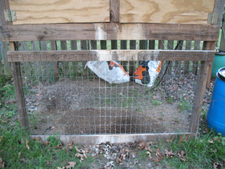 Fencing in rabbit manure