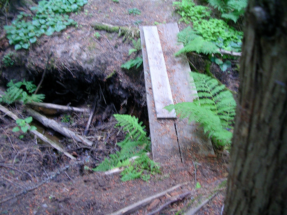 Plywood footbridge