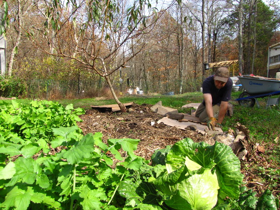 Kill mulch