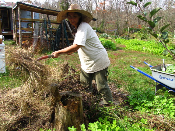 Moving mulch