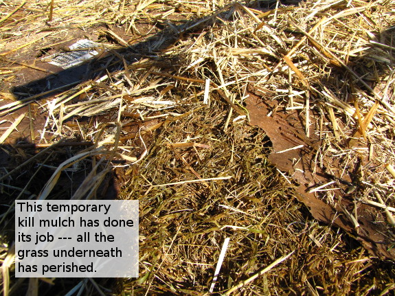 Temporary kill mulch