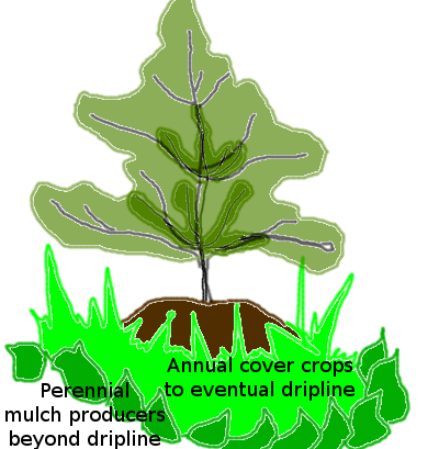 Soil-building zones