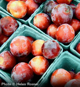 Methley plum