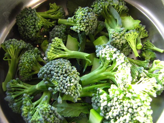 Steamed broccoli