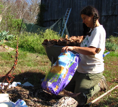 Bag of leaves