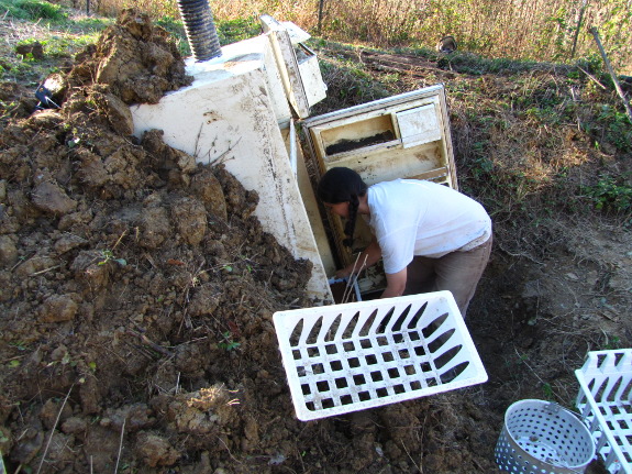 Refrigerator root cellar