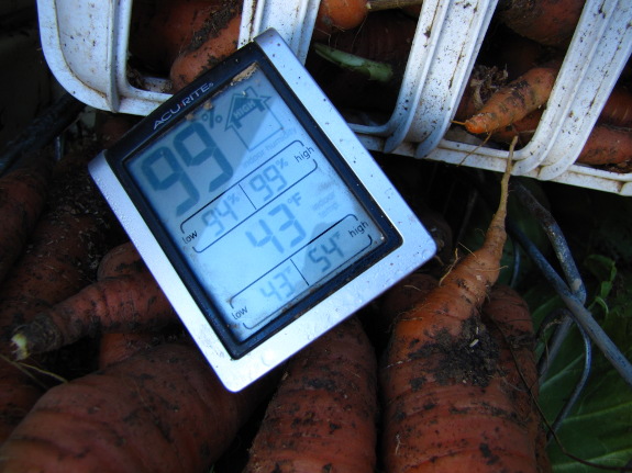 Root cellar thermometer