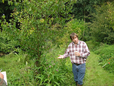 Crawford in his forest garden