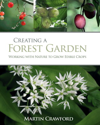 Creating a forest garden