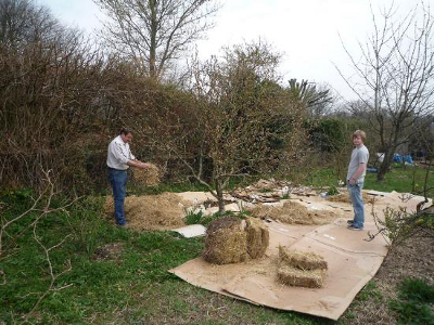 Kill mulching a forest garden