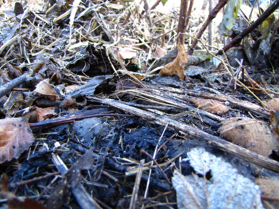 Decomposing mulch