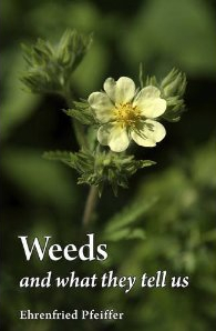 Weeds and what they tell us