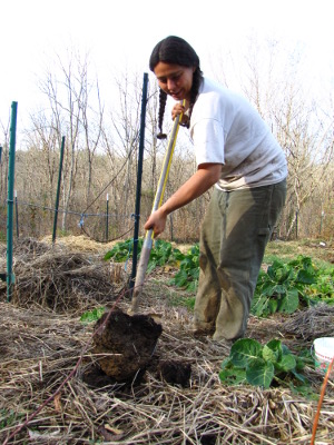 Garden soil