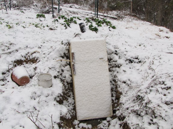 refrigerator root cellar with snow on top