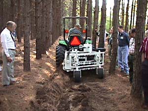 Raking pine straw