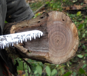 how much is too much for a hand saw when it's better to get the chainsaw?