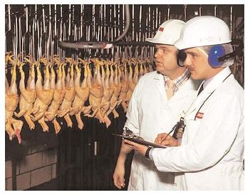 Food safety inspectors