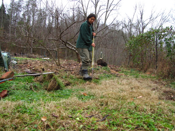 Breaking ground for the greywater wetland